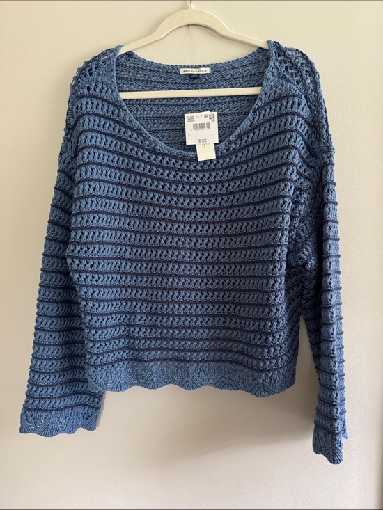 American Eagle Outfitters Sweaters - American Eagle Outfitters Blue Crochet Scoop Neck Sweater